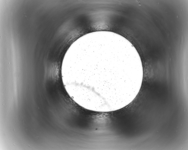 X0000103970124200810031232