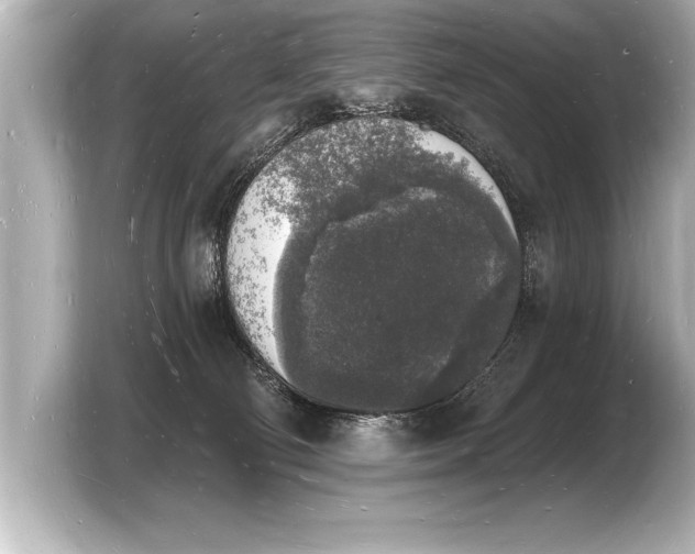 X0000103970130200810031232