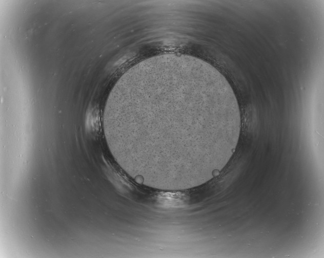 X0000103970137200810031232