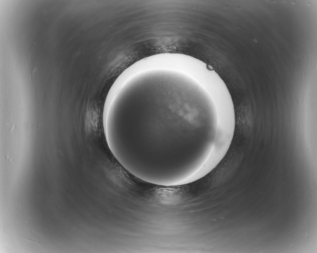 X0000103970139200810031232