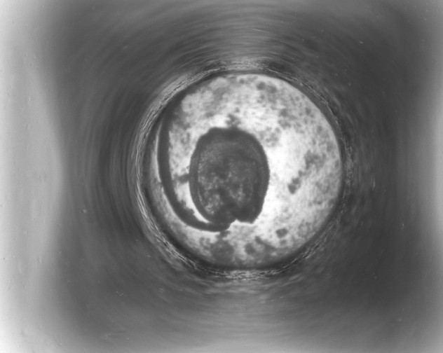 X0000103970145200810031231