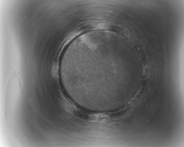 X0000103970146200810031231