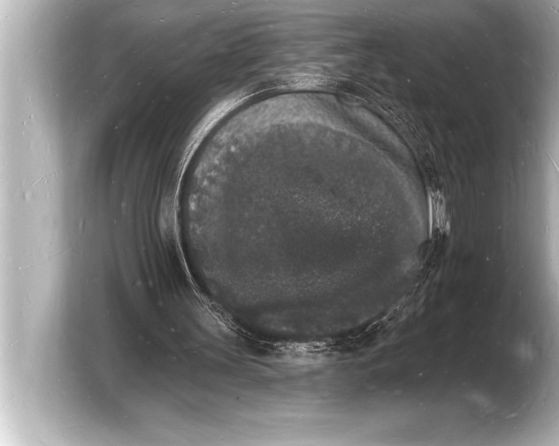 X0000103970147200810031231