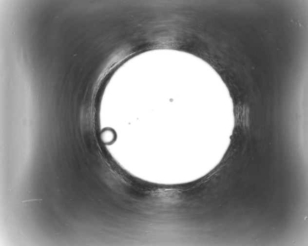 X0000103970150200810031231