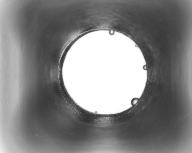 X0000103970152200810031231