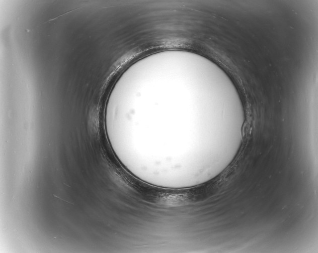 X0000103970155200810031231