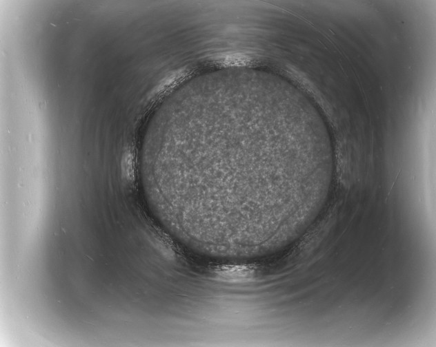 X0000103970161200810031231