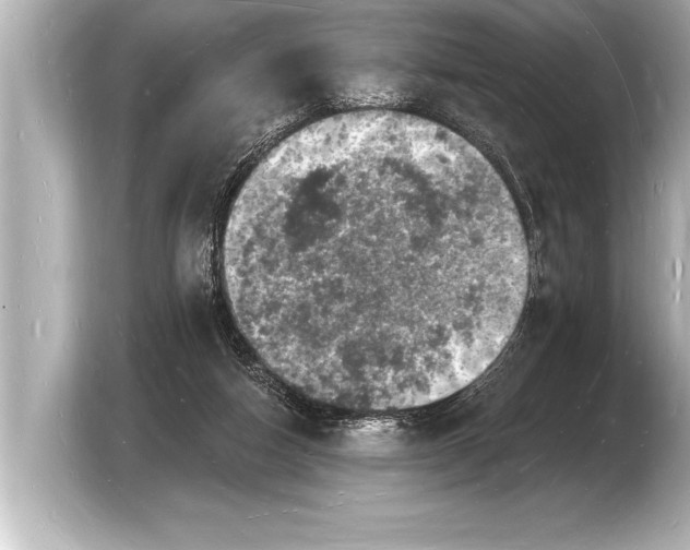 X0000103970162200810031231