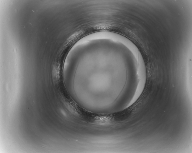 X0000103970163200810031231