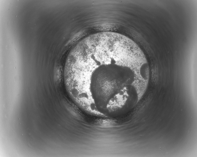 X0000103970165200810031231