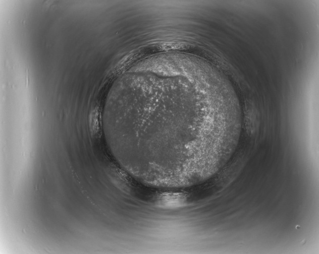 X0000103970169200810031231