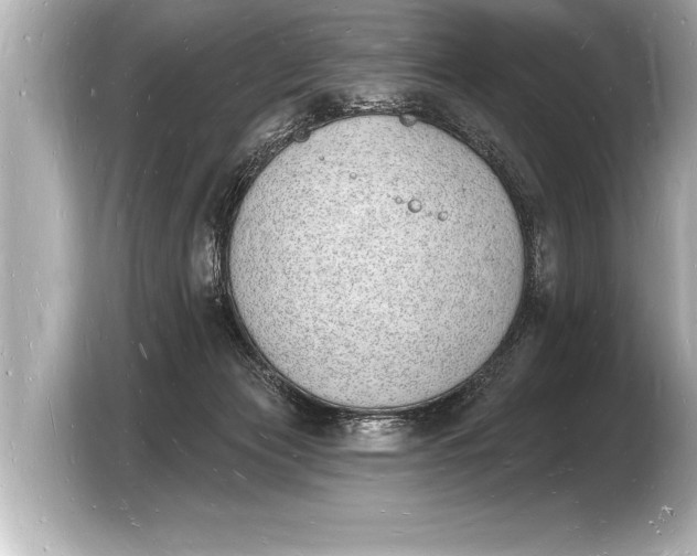 X0000103970173200810031231