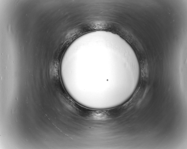 X0000103970175200810031231