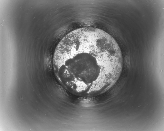 X0000103970177200810031231