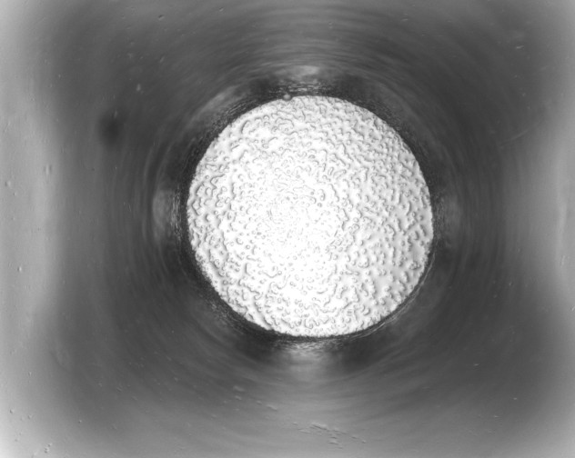 X0000103970178200810031231