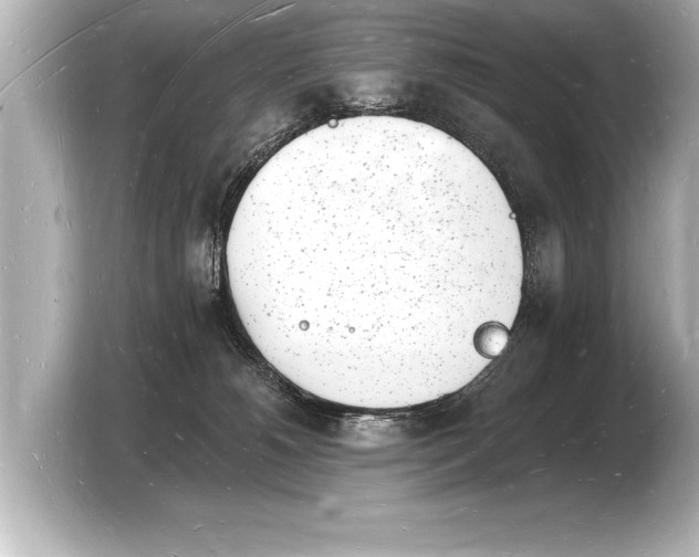 X0000103970180200810031231