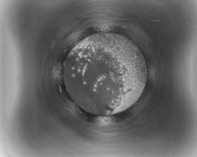 X0000103970181200810031231