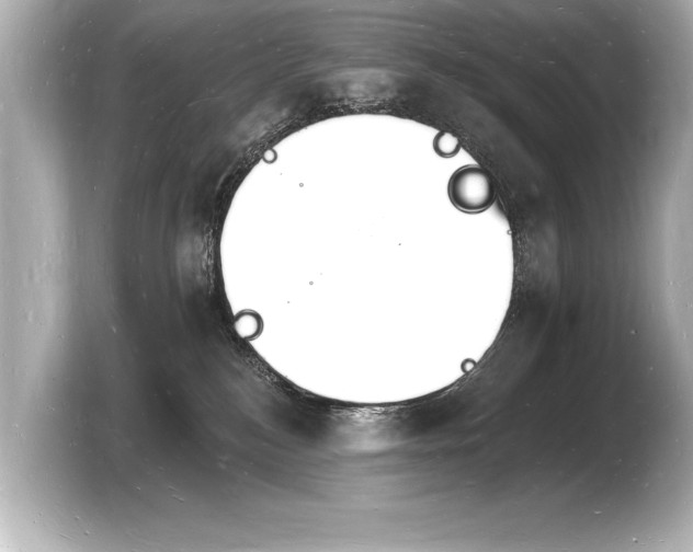 X0000103970184200810031232