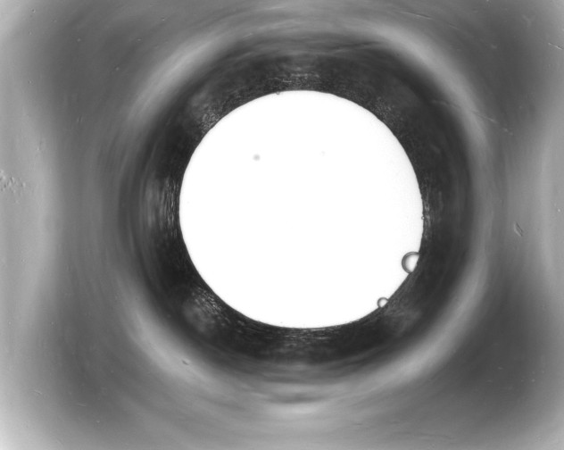 X0000103970190200810031232