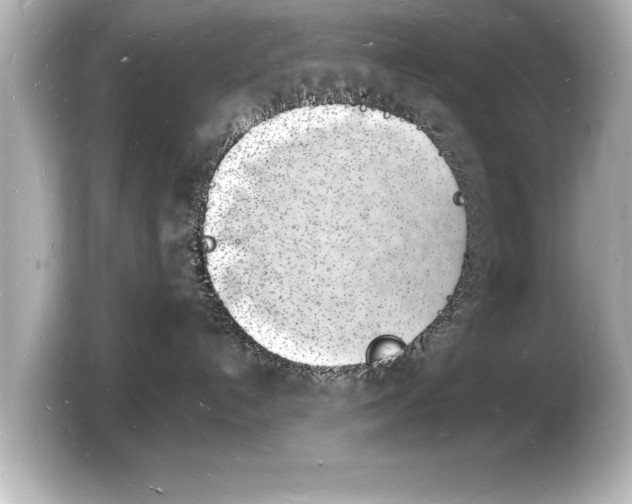 X0000103970192200810031232