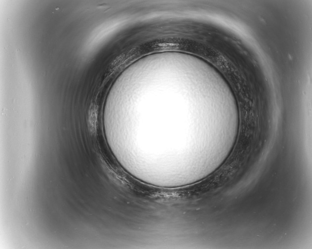 X0000103970194200810031231