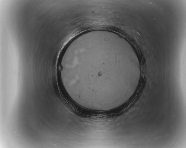 X0000103970196200810031231