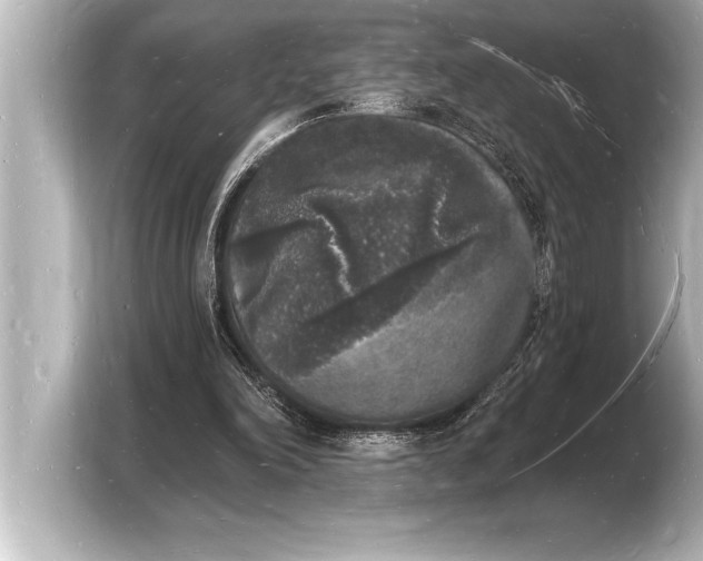 X0000103970198200810031231