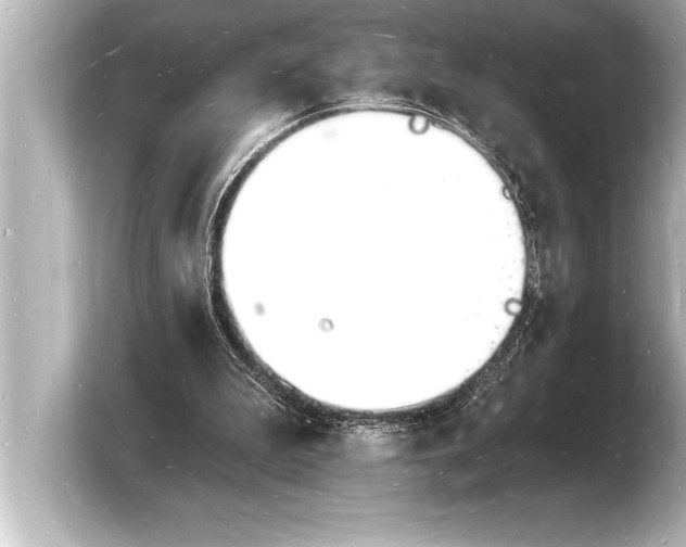 X0000103970199200810031231