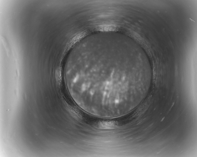 X0000103970202200810031231