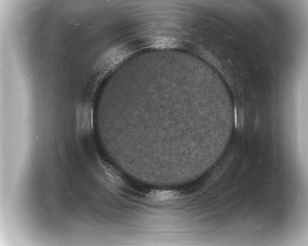 X0000103970205200810031231