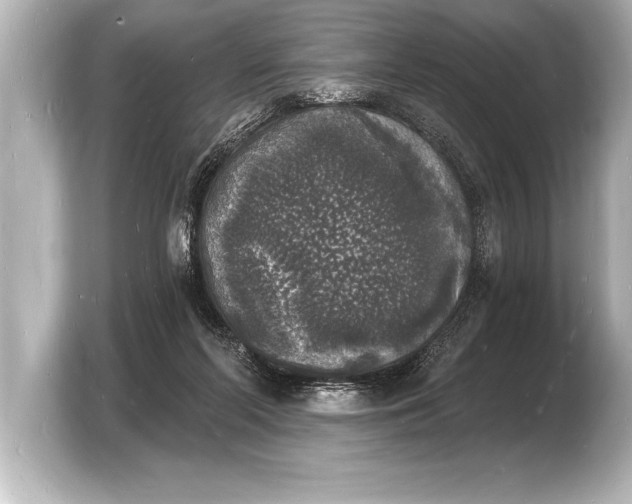 X0000103970214200810031231