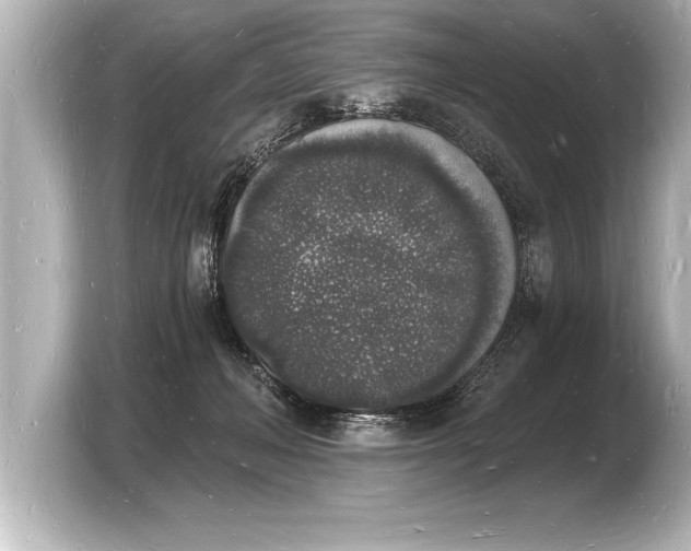 X0000103970222200810031231