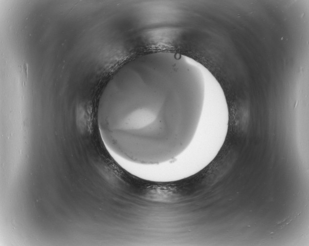 X0000103970223200810031231