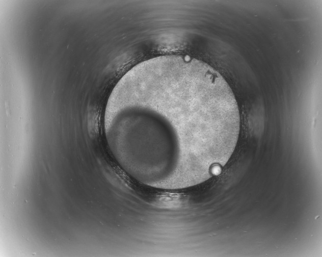 X0000103970227200810031231