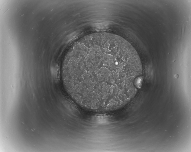 X0000103970228200810031231