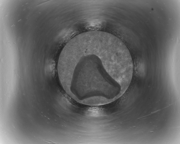 X0000103970231200810031231