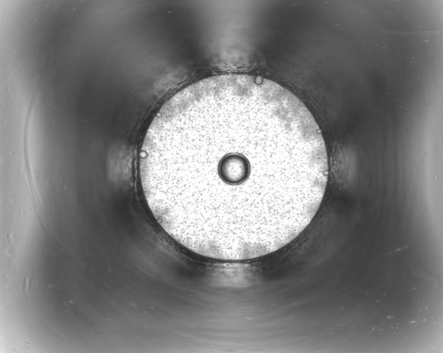 X0000103970233200810031230