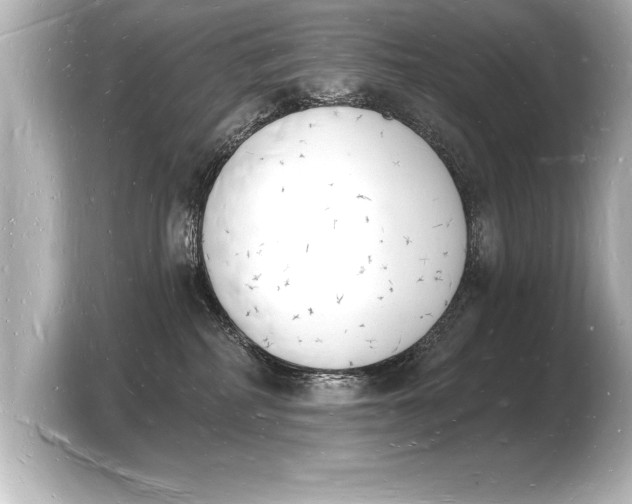 X0000103970234200810031230