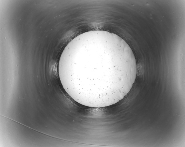 X0000103970238200810031230