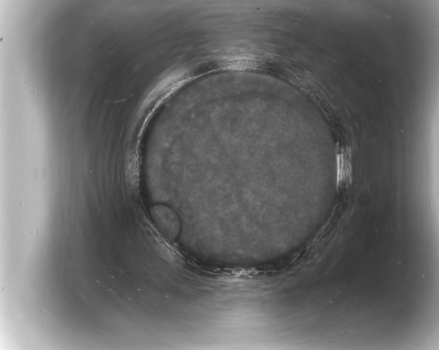 X0000103970243200810031230