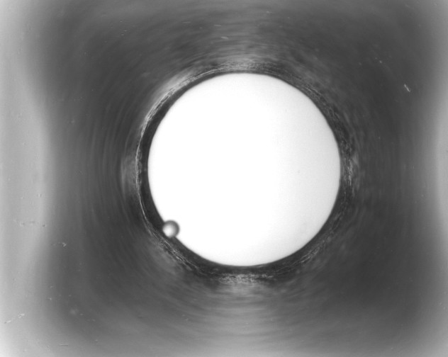 X0000103970244200810031230