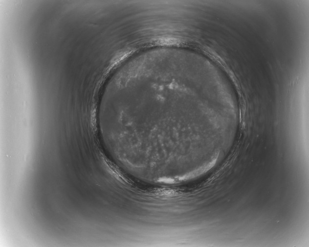 X0000103970249200810031230