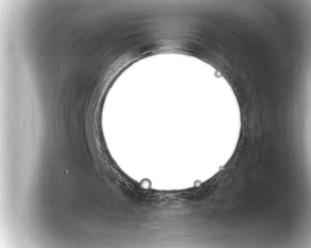 X0000103970289200810031230