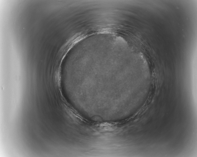 X0000103970290200810031230