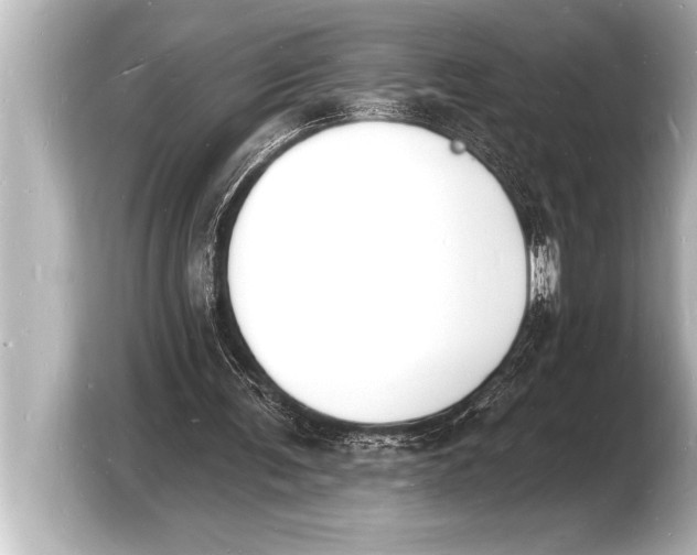 X0000103970291200810031230