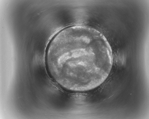 X0000103970292200810031230