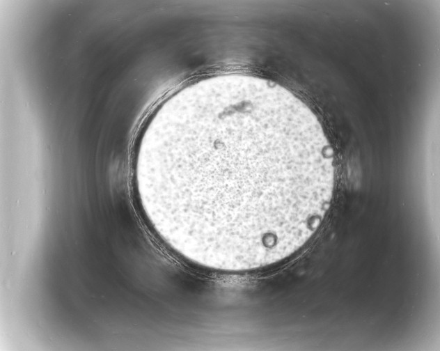 X0000103970293200810031230