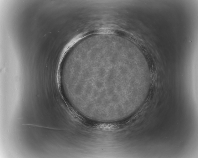 X0000103970294200810031230