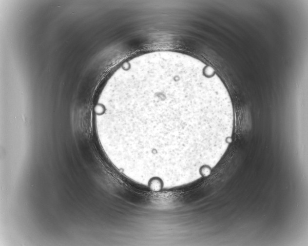 X0000103970301200810031230