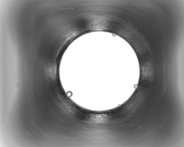 X0000103970304200810031230